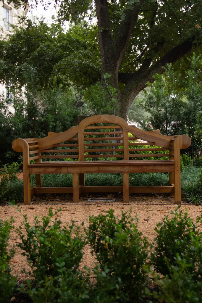 Banco de madera bajo un árbol en un jardín tranquilo